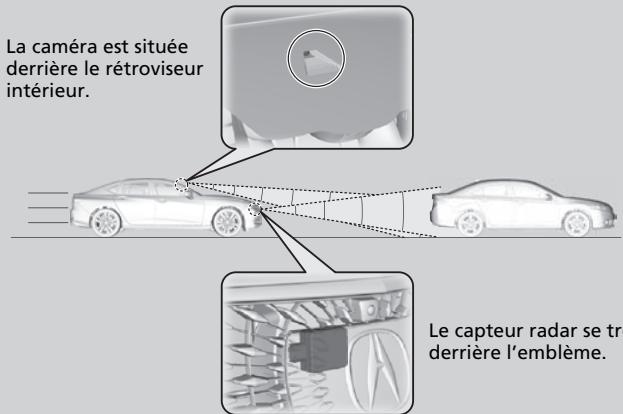Acura TLX (2022) - Quand l'utiliser - 1