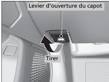 Acura TLX (2022) - Ouverture du capot - 1
