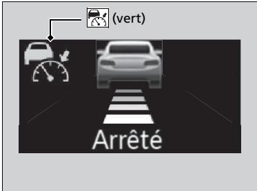 Acura TLX (2022) - ■ Un vehicule devant est detecté dans le rayon d'action de l'ACC avec suivi à basse vitesse et ralentit jusqu'àu point de s'immobiliser - 1