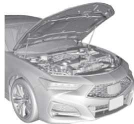 Acura TLX (2022) - Surchauffe - 1