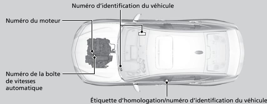 Acura TLX (2022) - Numero d'identification du vehicule (NIV), numero du moteur et numero de la boite de vitesses - 2