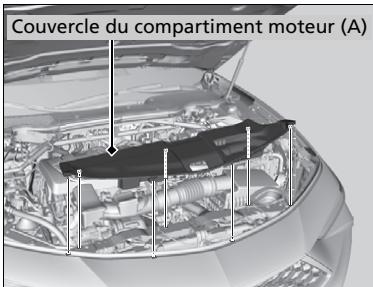Acura TLX (2022) - Couvercle du compartmente moteur - 1
