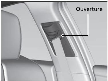 Acura TLX (2022) - Lavage des ceintures de sécurité - 1