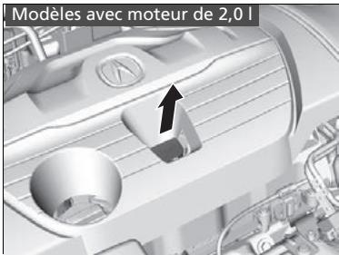 Acura TLX (2022) - Vérification d'huile - 1