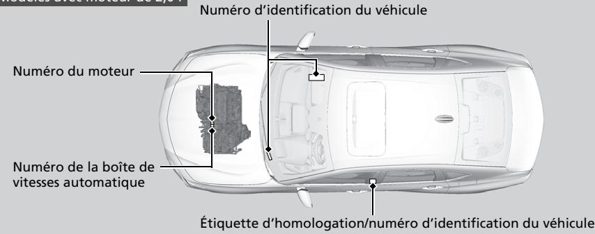 Acura TLX (2022) - Numero d'identification du vehicule (NIV), numero du moteur et numero de la boite de vitesses - 1