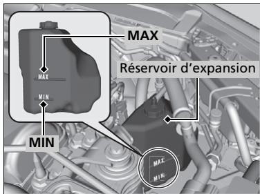 Acura TLX (2022) - Réserve d'expansion - 1