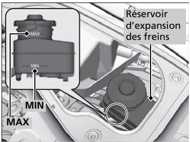Acura TLX (2022) - Vérification du liquide de frein - 1