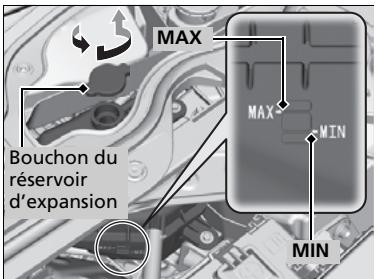 Acura TLX (2022) - Ajouter du liquide de refroidissement - 1