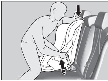 Acura TLX (2022) - ■ Installation d'un siège de sécurité pour infant avec une ceinture sous-abdominale/épaullière - 3