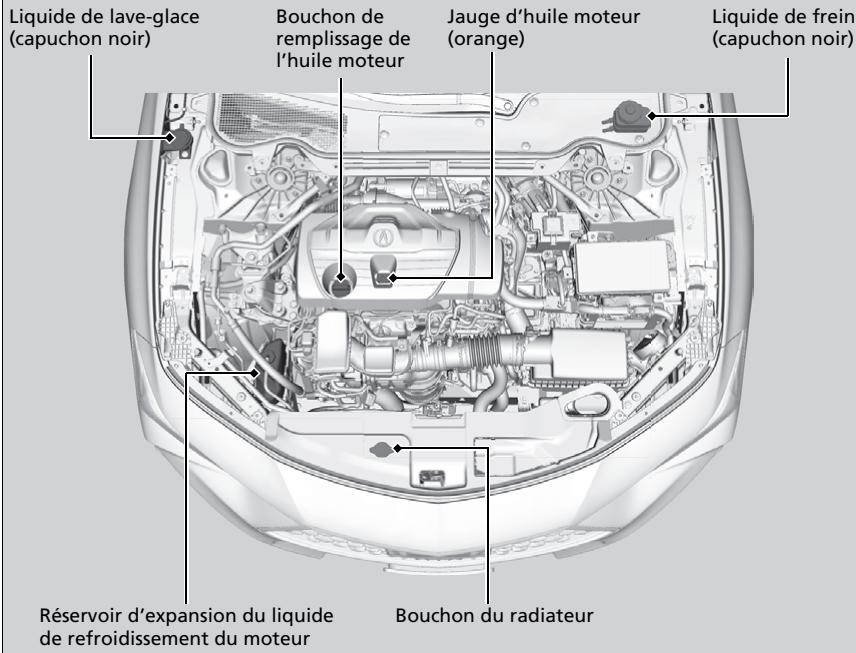 Acura TLX (2022) - Modèles avec moteur de 2,0 - 1