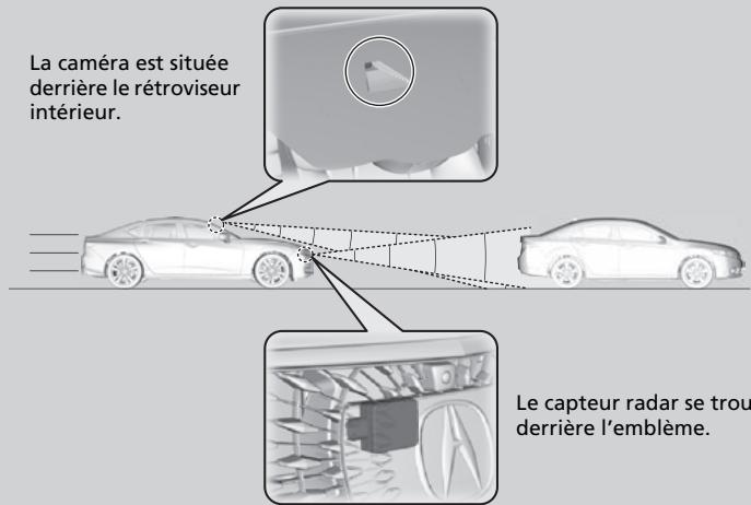 Acura TLX (2022) - Comment le système fonctionne - 1