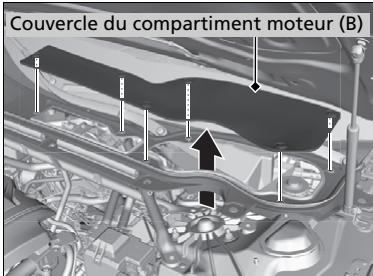Acura TLX (2022) - Couvercle du compartmente moteur (A) - 1
