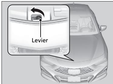 Acura TLX (2022) - Ouverture du capot - 2
