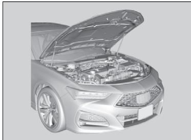 Acura TLX (2022) - Ouverture du capot - 3