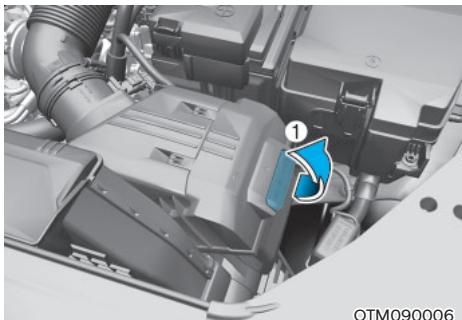 HYUNDAI Santa Cruz (2021) - Remplacement du filtre - 2