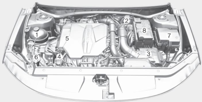 HYUNDAI Santa Cruz (2021) - COMPARTIMENT MOTEUR - 1