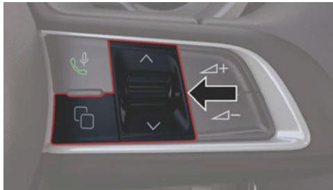 DODGE Hornet (2025) - CONTRÔLE DE L'AFFICHAGE DU GROUPE D'INSTRUMENTS - 1