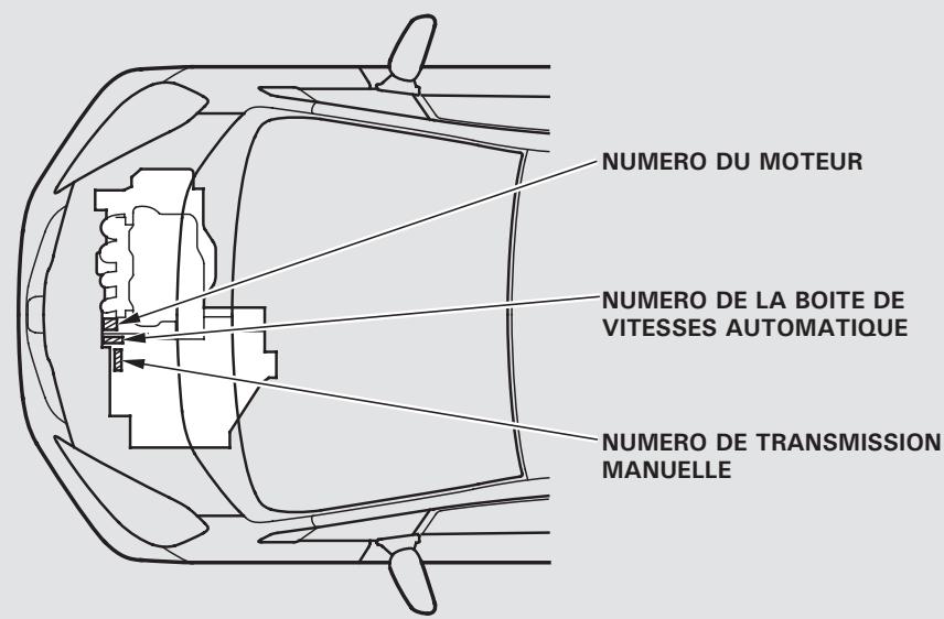 Honda Jazz 2 (2007-2014) - REMARQUE - 1