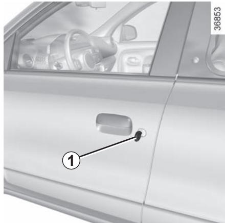 RENAULT Twingo 3 Phase 2 (2019) - Verrouillage/déverrouillage de l'extérieur - 1