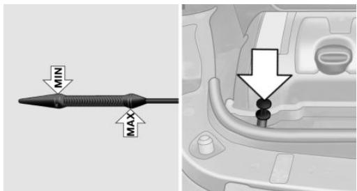 MINI Countryman (2010-2014) - Contrôle du niveau d'huile avec la jauge - 1