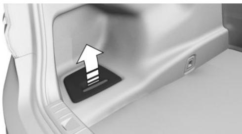 BMW M5 F90 (2017-2023) - Ouverture - 1