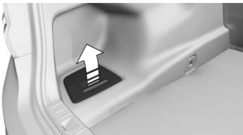 BMW M5 F90 (2017-2023) - Rangement - 1