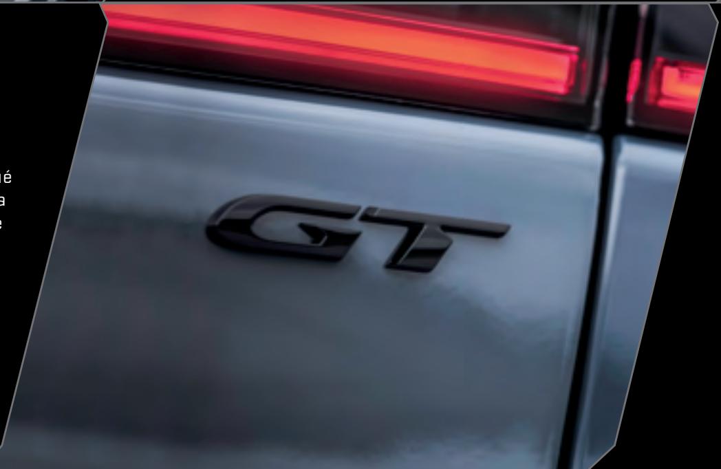 DODGE Hornet (2023) - 1
