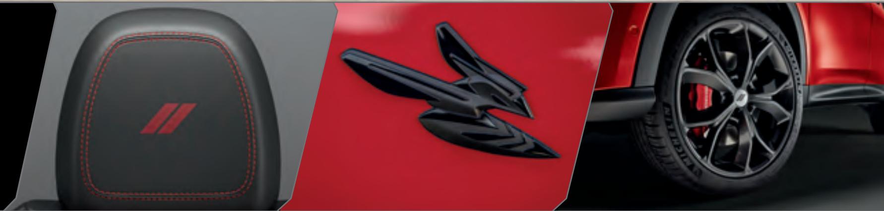 DODGE Hornet (2023) - ENSEMBLE BLACKTOP - 1
