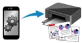 CANON TS7400series - Important - 6