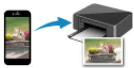 CANON TS7400series - Manipulation du papier - 2