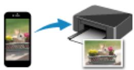 CANON TS7451I - Manipulation du papier - 2