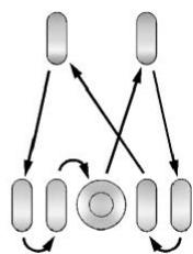 GMC Sierra Denali (2026) - Permutation des pneus jumelés - 2