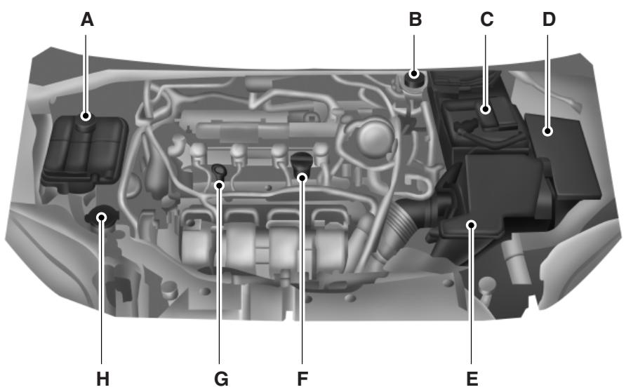 FORD Focus US 3 Phase 1 (2011-2014) - APERÇU SOUS LE CAPOT - 1