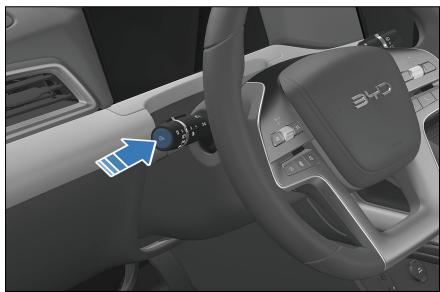 BYD Atto 2 (2024) - Bouton du compteur kilométrique - 1