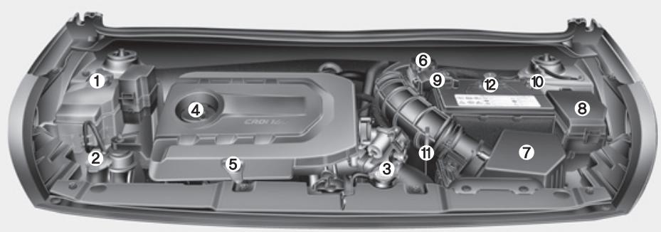 HYUNDAI Accent (2010-2018) - ■ Moteur diesel - 1