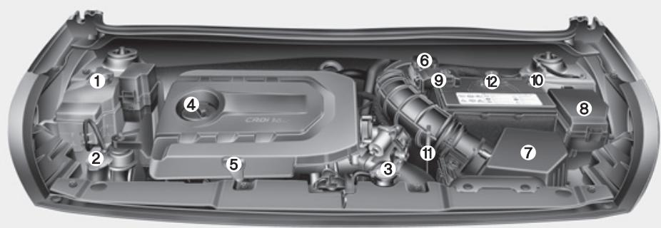 HYUNDAI Accent (2010-2018) - ■ Moteur diesel - 1