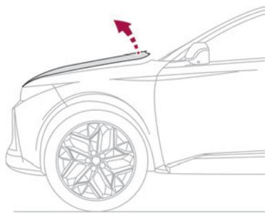 DS Automobiles DS4 2 Phase 1 (2021-2025) - Capot actif - 1