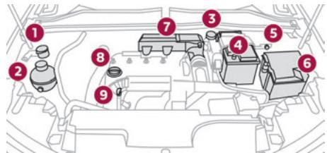 DS Automobiles DS4 2 Phase 1 (2021-2025) - Compartiment moteur - 1