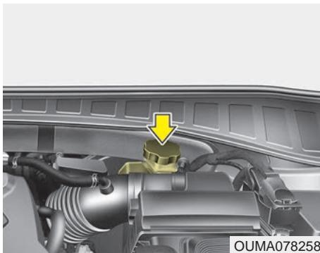 KIA Sorento (2017-2020) - Vérifier le niveau de liquide de frein - 1
