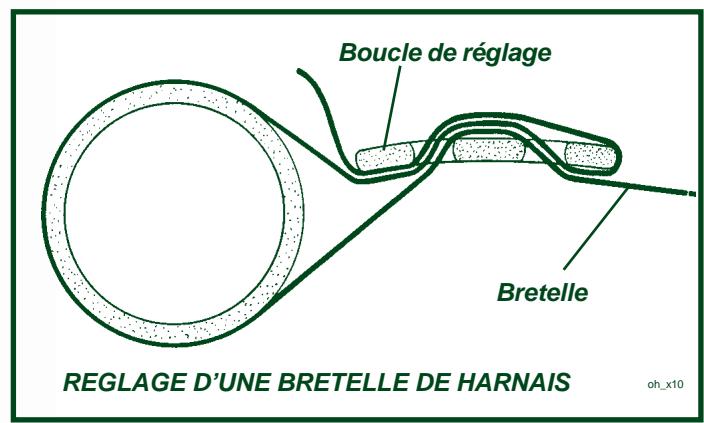 Lotus Exige (2004-2011) - Entrée et comport - 1