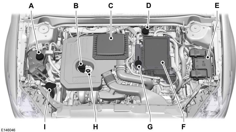 Lincoln MKZ Phase 2 (2018) - Entretien - 1