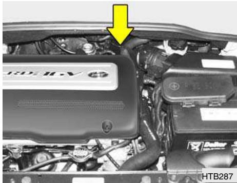 HYUNDAI Getz Phase 2 (2005-2009) - EVACUATION DE L'EAU DU FILTRÉ A CARBURANT (MOTEUR DIESEL) - 1