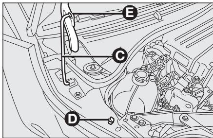 Abarth 500 3 Phase 1 (2007-2015) - ATTENTION - 1