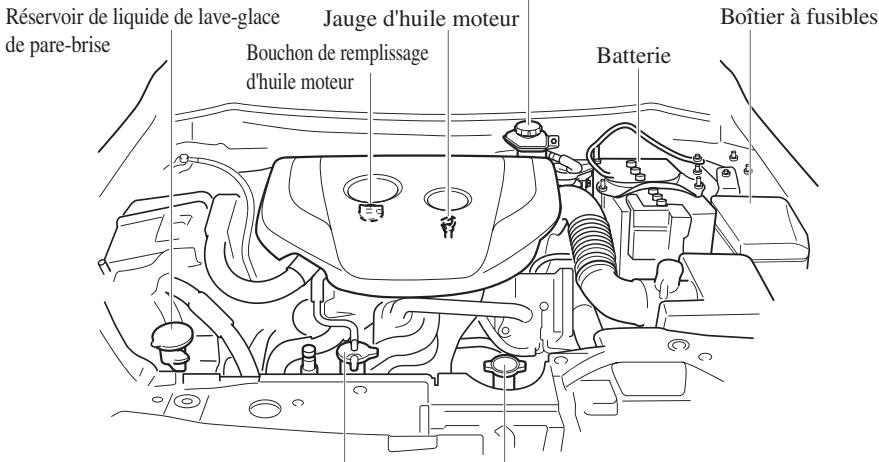 MAZDA CX-3 (2015-2017) - Entretien de tous les jours - 2