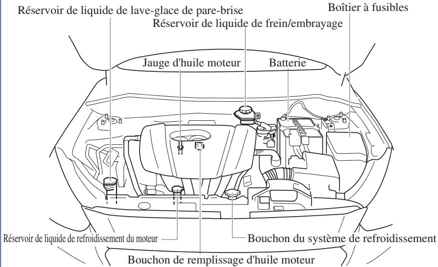 MAZDA CX-3 (2015-2017) - Entretien de tous les jours - 1