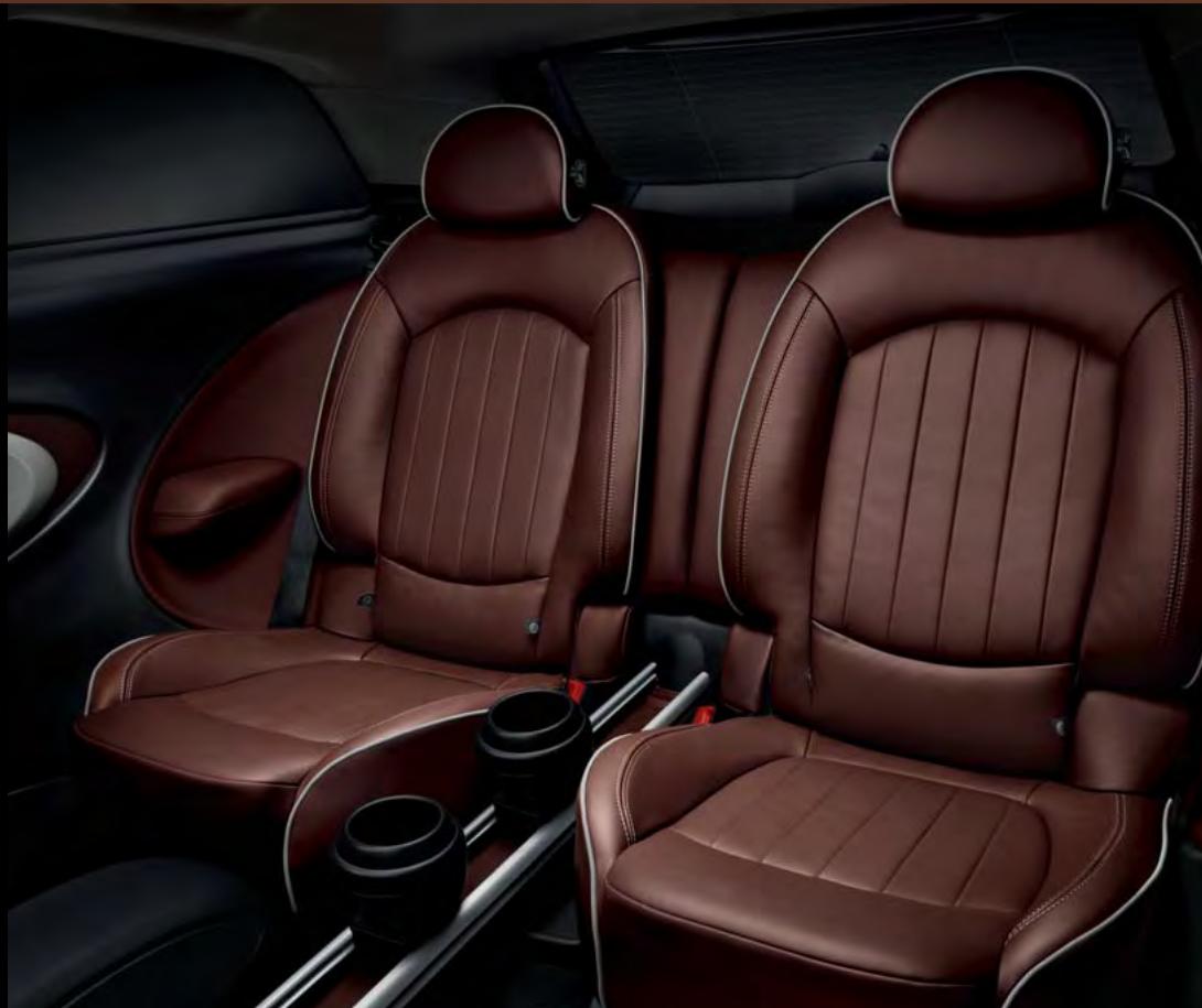 MINI Paceman Phase 1 (2013-2017) - RAIL DE FIXATION CENTRAL "CENTER RAIL". - 3