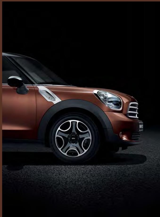 MINI Paceman Phase 1 (2013-2017) - RAIL DE FIXATION CENTRAL "CENTER RAIL". - 1