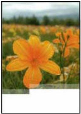 CANON TR4700series - Remarque - 1