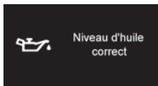 DS Automobiles DS4 Phase 1 (2011-2015) - Indicateur de niveau d'huile moteur - 4