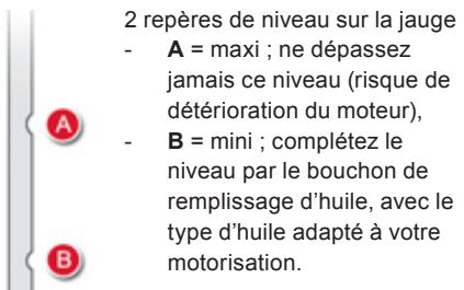 DS Automobiles DS4 Phase 1 (2011-2015) - Jauge manuelle - 1